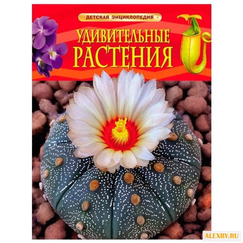 Травина И. Детская