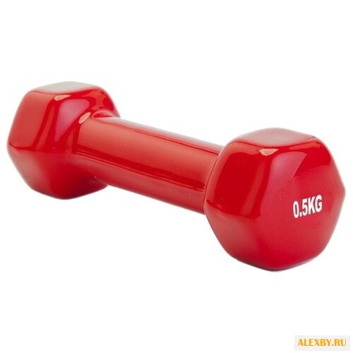 Гантель цельнолитая BRADEX SF