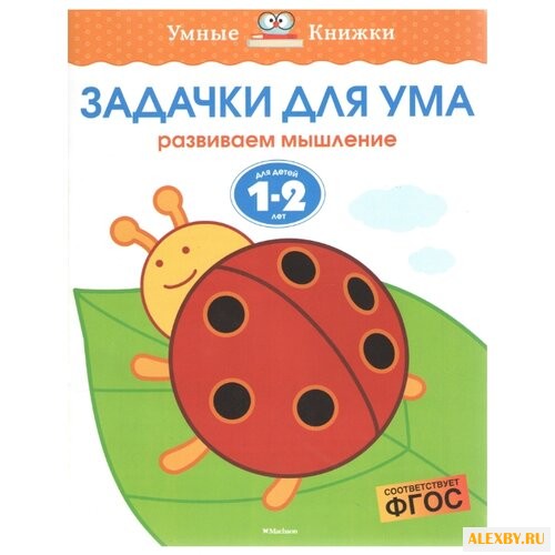 Земцова О.Н. Умные книжки.