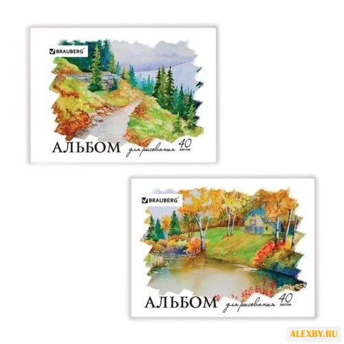 Альбом для рисования BRAUBERG