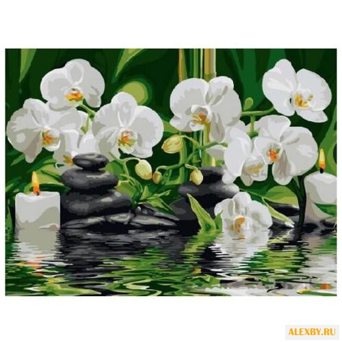 Color Kit Картина по номерам