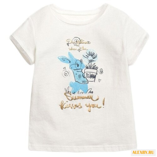 Футболка Pelican