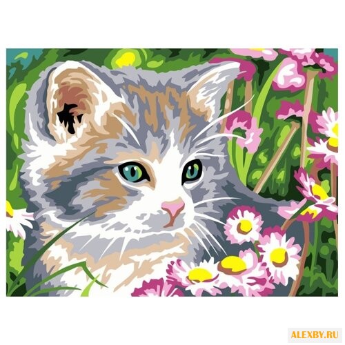 Color Kit Картина по номерам