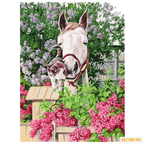 Белоснежка Картина по номерам