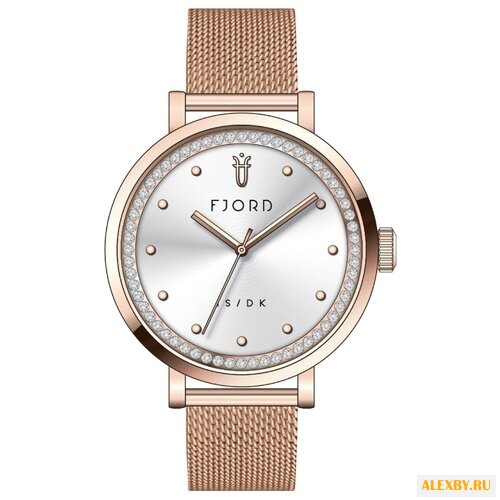 Наручные часы FJORD FJ-6050-33