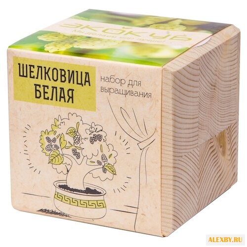 Набор для выращивания Эйфорд