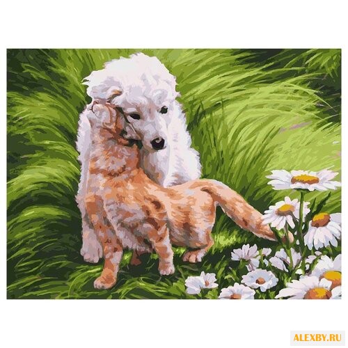 Белоснежка Картина по номерам