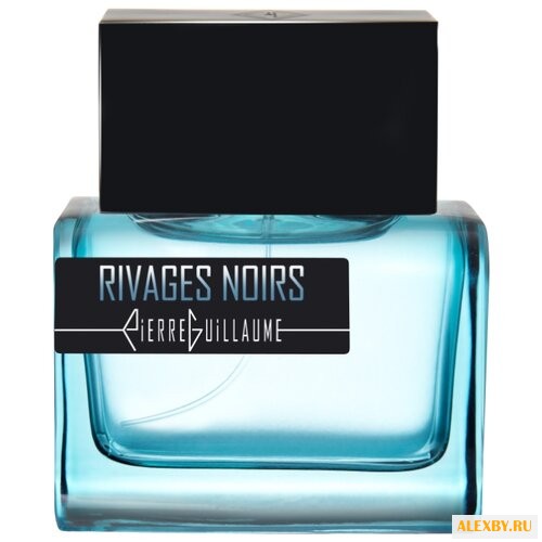 Pierre Guillaume Rivages Noirs