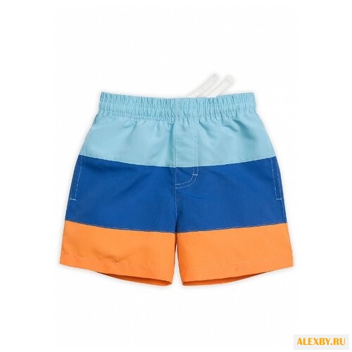 Шорты для плавания Pelican