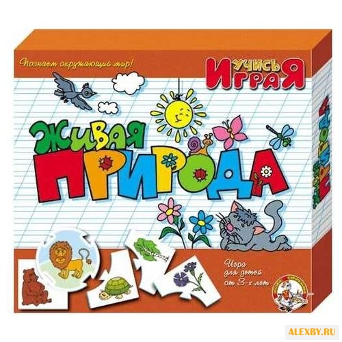 Настольная игра Десятое