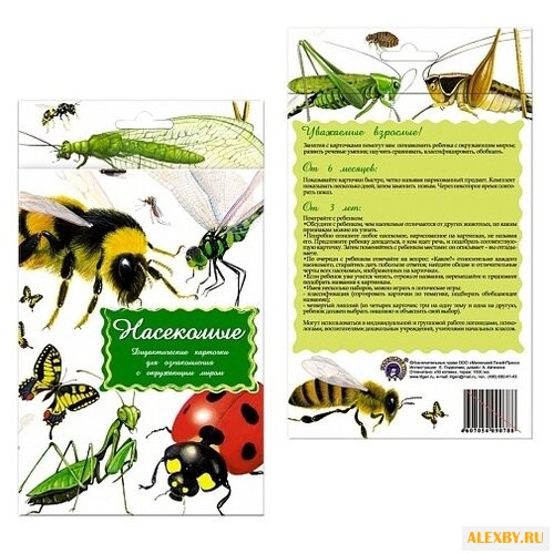 Набор карточек Маленький гений