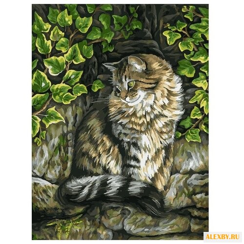 Белоснежка Картина по номерам