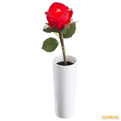 Настольная лампа Globo Lighting