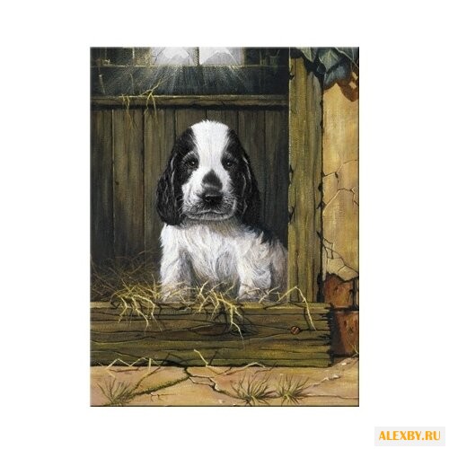 Royal & Langnickel Картина по