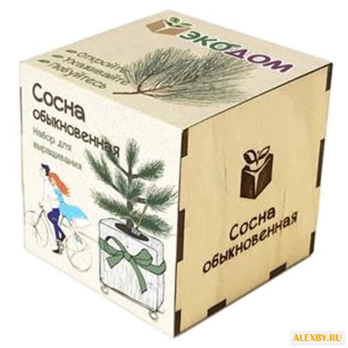 Набор Эко Клуб Сосна