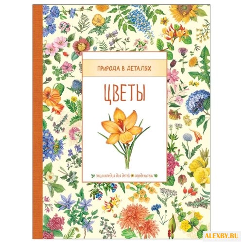 Роджерс К. Природа в деталях.