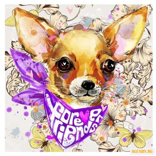 Color Kit Открытка по номерам