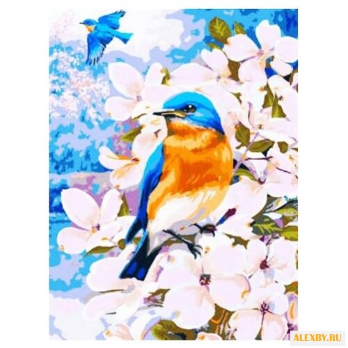 Color Kit Картина по номерам