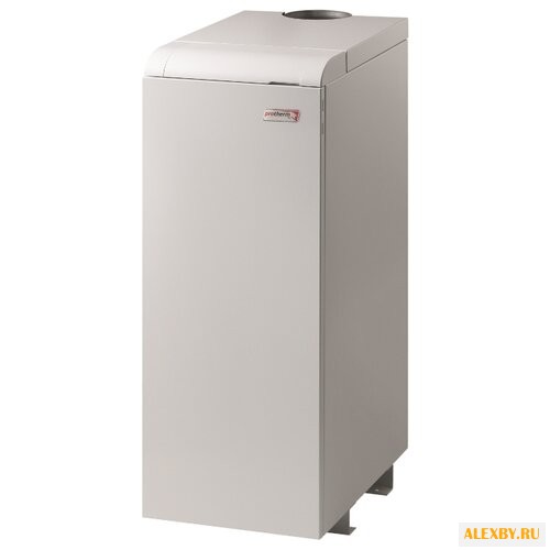 Газовый котел Protherm Медведь