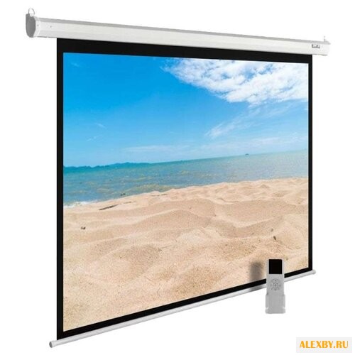 Рулонный матовый белый экран