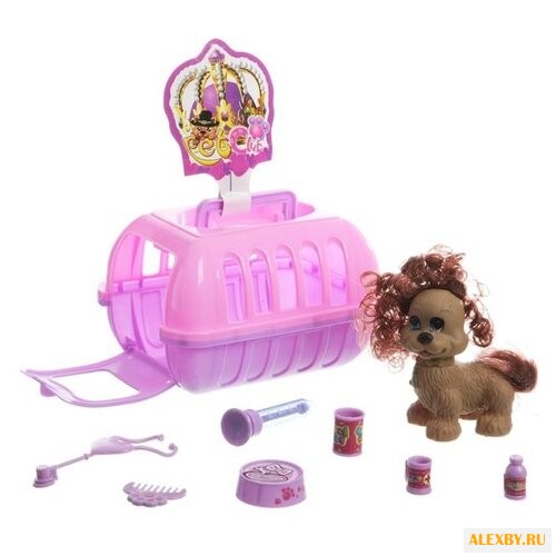 Игровой набор ABC Pet Club CL2061