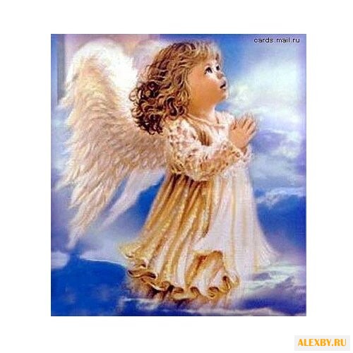 Рыжий кот Картина по номерам