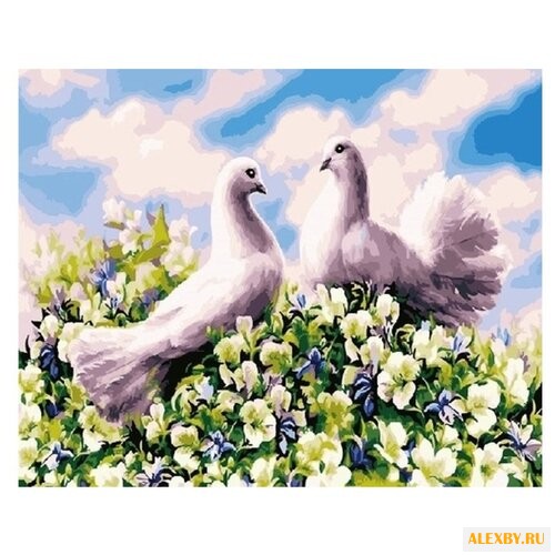 Color Kit Картина по номерам