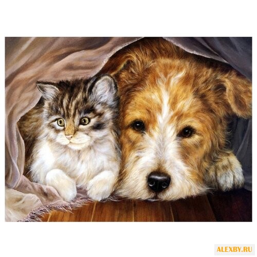 Color Kit Картина по номерам