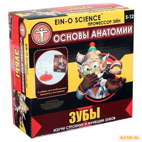 Набор Профессор Эйн Зубы