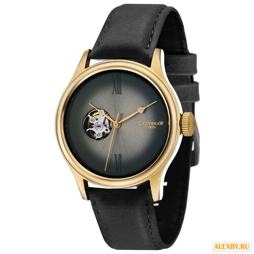 Наручные часы EARNSHAW ES-8809-03