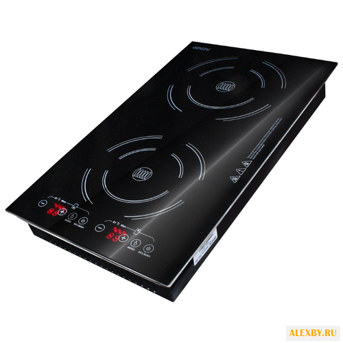 Плита Ginzzu HCI-241