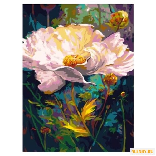 Paintboy Картина по номерам