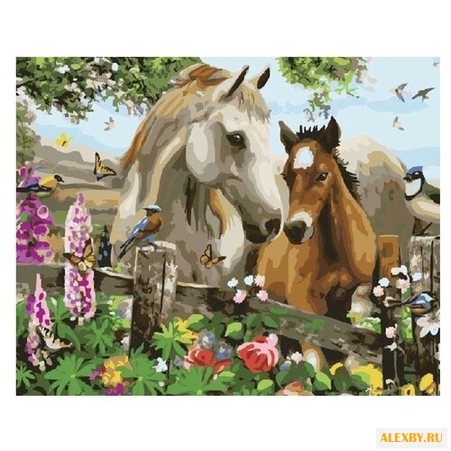 Color Kit Картина по номерам