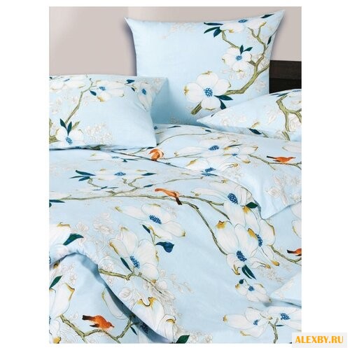 Постельное белье 2-спальное