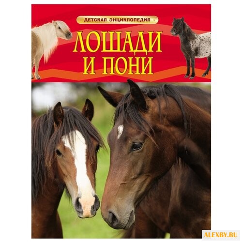 Детская энциклопедия. Лошади и