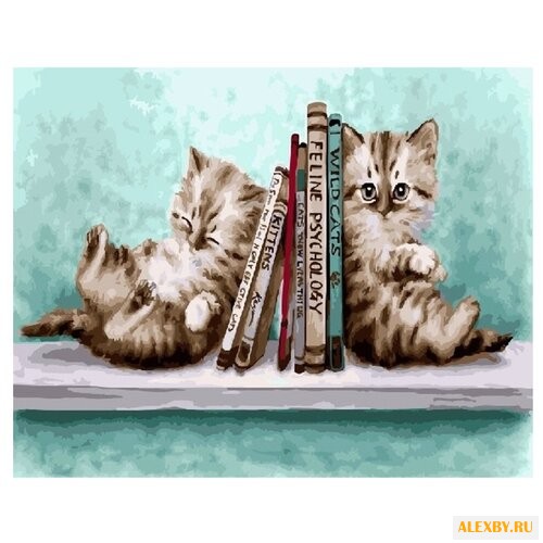 Color Kit Картина по номерам