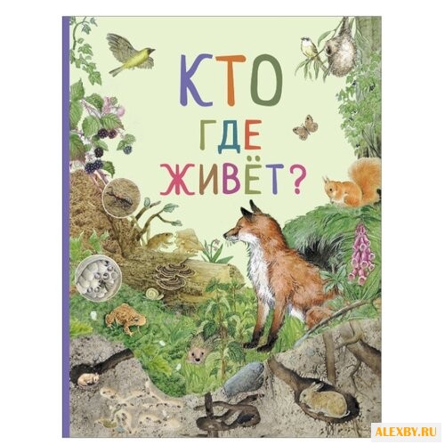 Кто где живет?