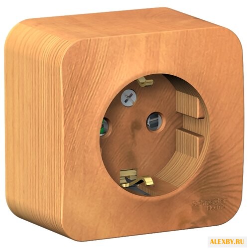 Розетка Schneider Electric