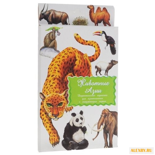 Набор карточек Маленький гений