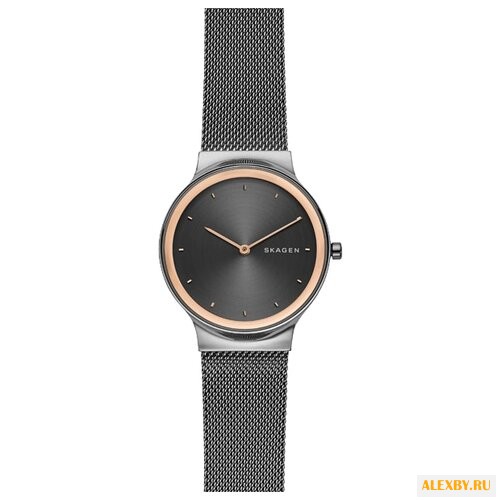 Наручные часы SKAGEN SKW2707