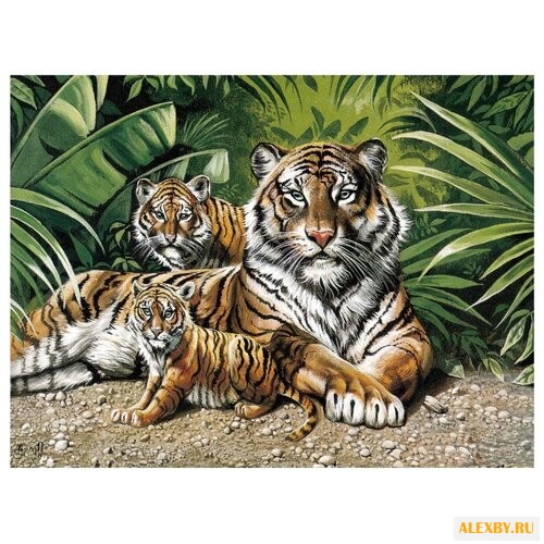 Рыжий кот Картина по номерам