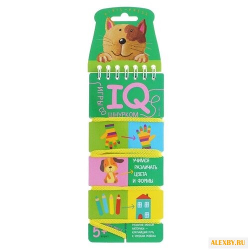 Развивающая игра Айрис-Пресс