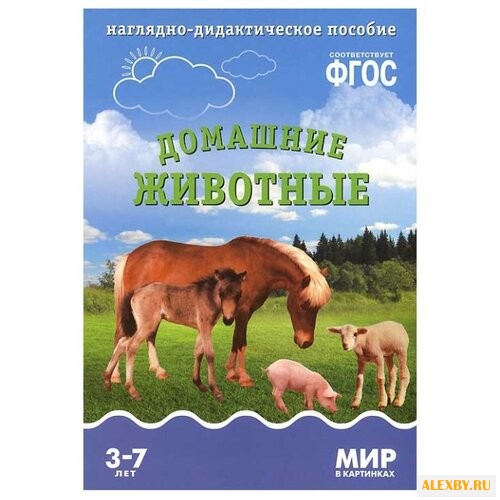 Набор карточек Мозаика-Синтез