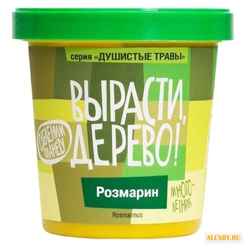 Набор для выращивания Вырасти