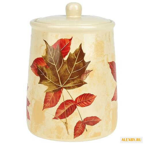 ENS Банка для сыпучих продуктов