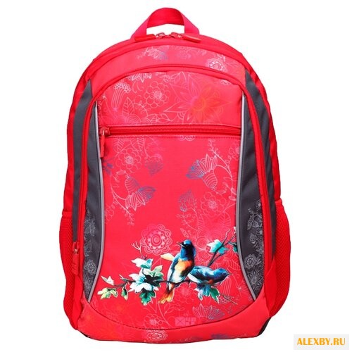 BIT4ALL Рюкзак School Птички