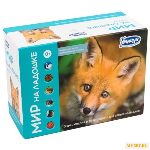 Набор карточек Умница Мир на