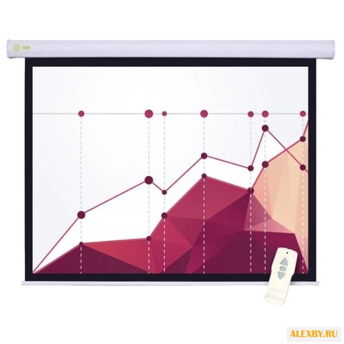 Рулонный матовый белый экран