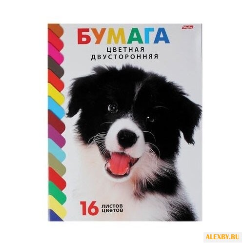 Цветная бумага Щенок Hatber