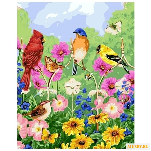 Цветной Картина по номерам